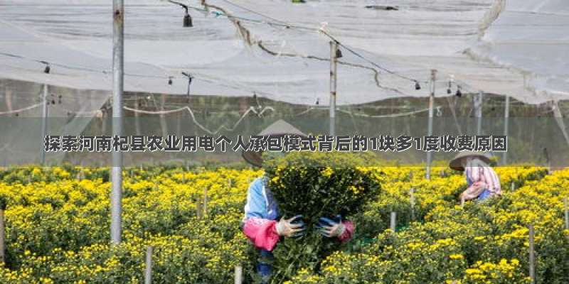 探索河南杞县农业用电个人承包模式背后的1块多1度收费原因