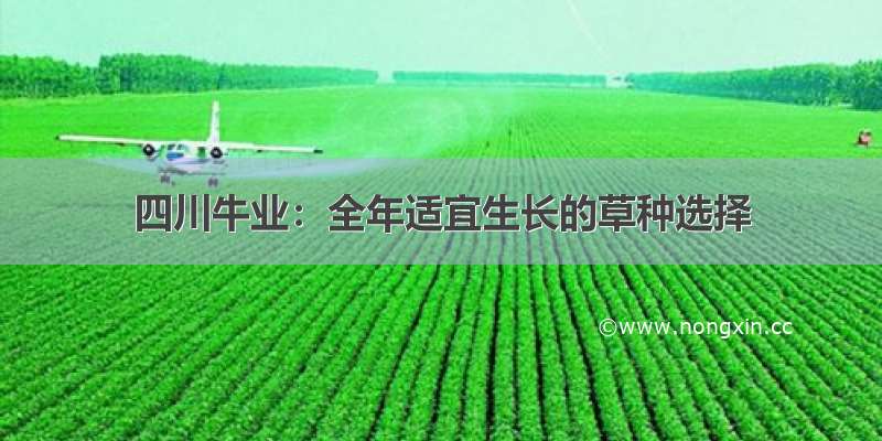 四川牛业：全年适宜生长的草种选择
