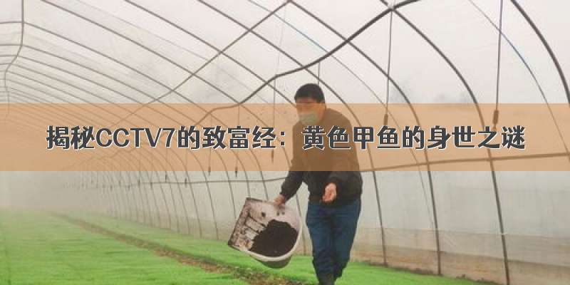 揭秘CCTV7的致富经：黄色甲鱼的身世之谜