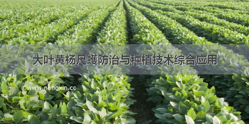 大叶黄杨尺蠖防治与种植技术综合应用