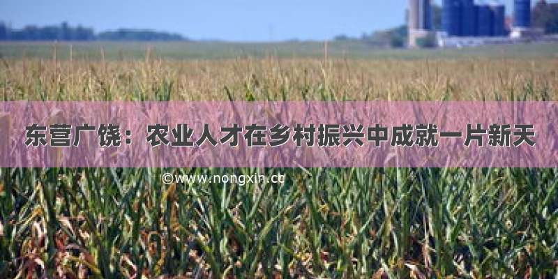 东营广饶：农业人才在乡村振兴中成就一片新天