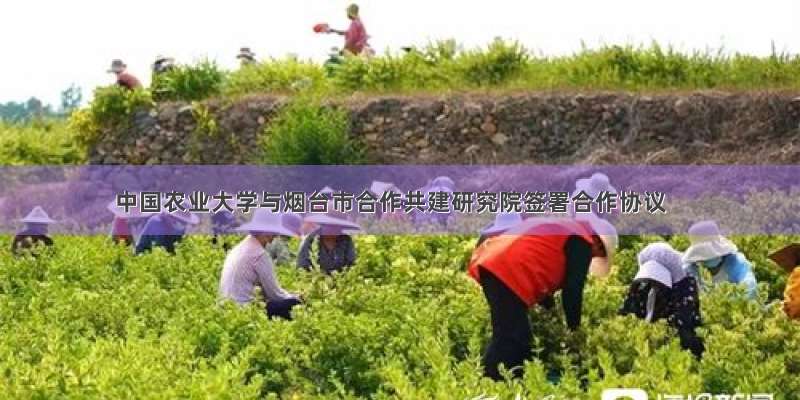 中国农业大学与烟台市合作共建研究院签署合作协议