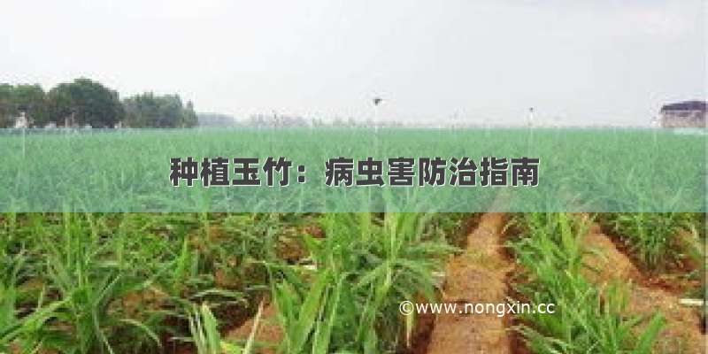 种植玉竹：病虫害防治指南