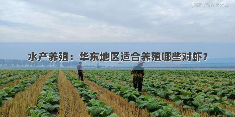水产养殖：华东地区适合养殖哪些对虾？
