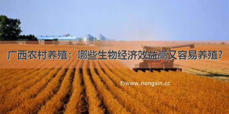 广西农村养殖：哪些生物经济效益高又容易养殖？