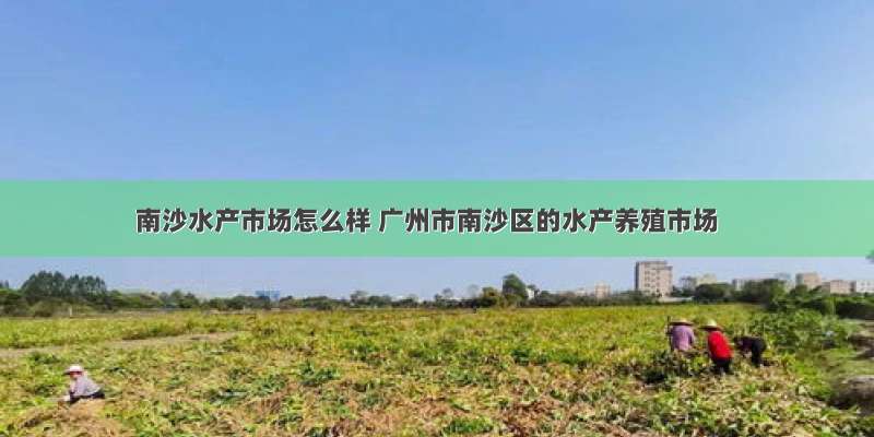 南沙水产市场怎么样 广州市南沙区的水产养殖市场