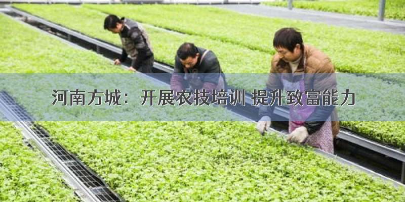 河南方城：开展农技培训 提升致富能力