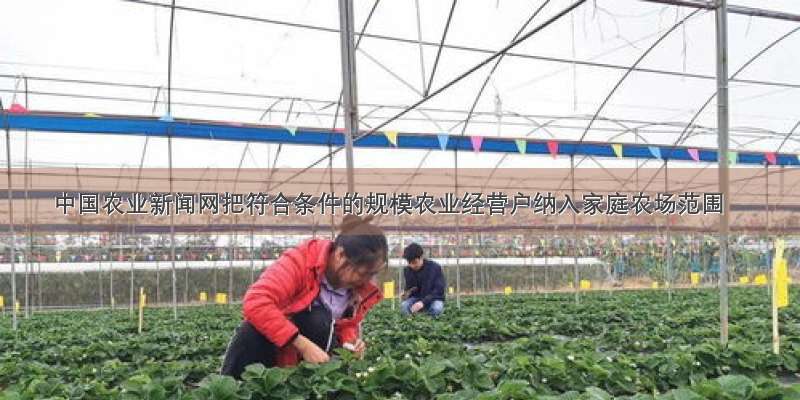 中国农业新闻网把符合条件的规模农业经营户纳入家庭农场范围