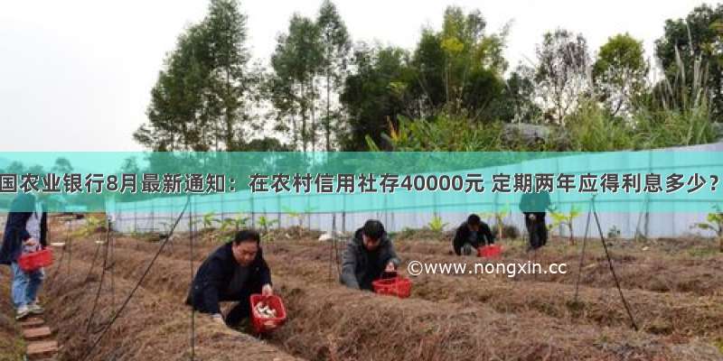 中国农业银行8月最新通知：在农村信用社存40000元 定期两年应得利息多少？