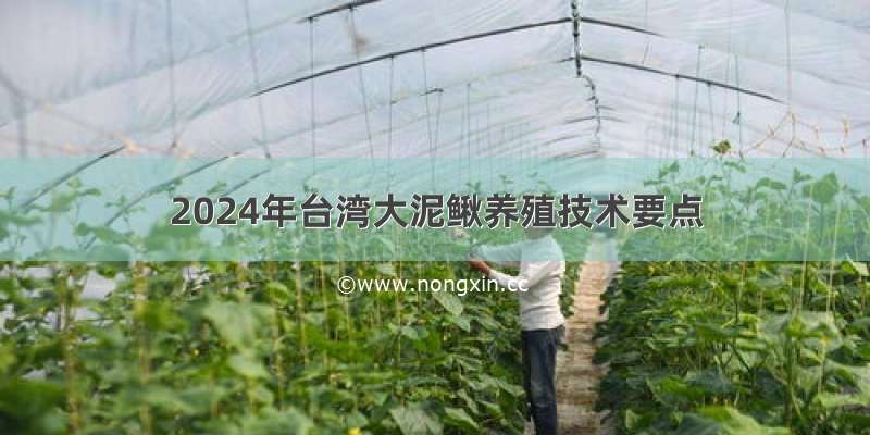 2024年台湾大泥鳅养殖技术要点
