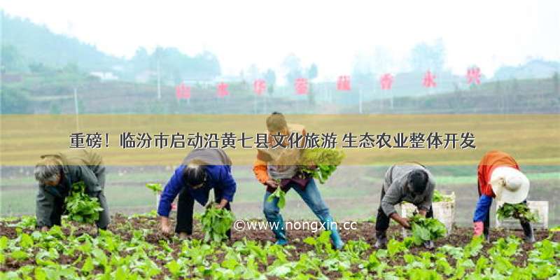 重磅！临汾市启动沿黄七县文化旅游 生态农业整体开发