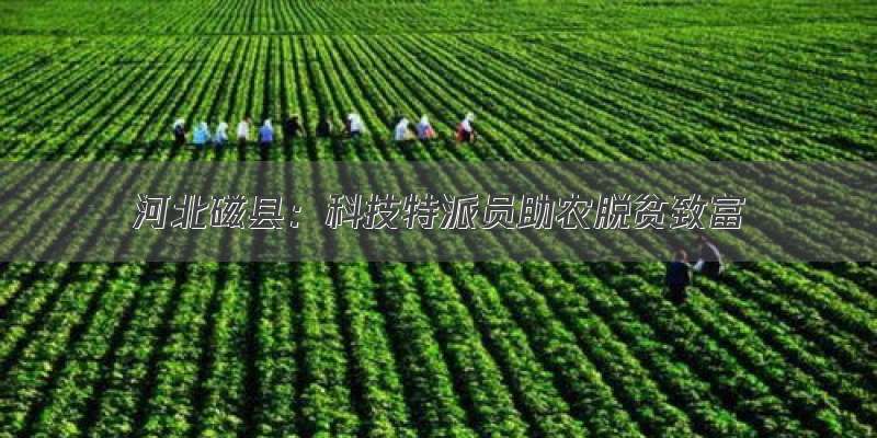 河北磁县：科技特派员助农脱贫致富