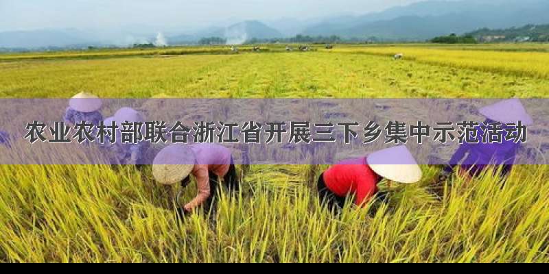 农业农村部联合浙江省开展三下乡集中示范活动
