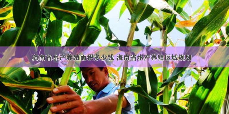 海南省水产养殖面积多少钱 海南省水产养殖区域规划
