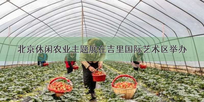 北京休闲农业主题展在吉里国际艺术区举办