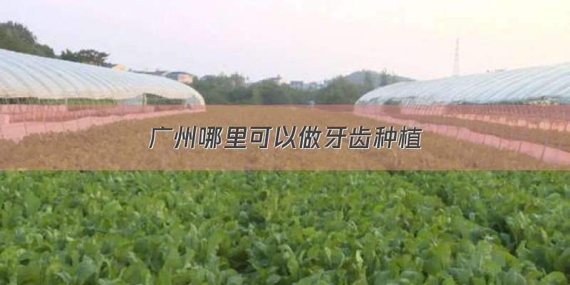 广州哪里可以做牙齿种植