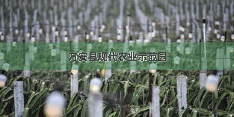万安县现代农业示范园