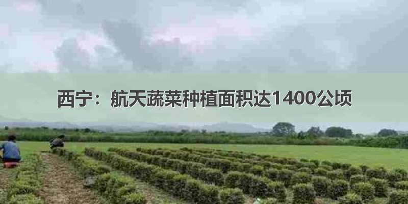 西宁：航天蔬菜种植面积达1400公顷