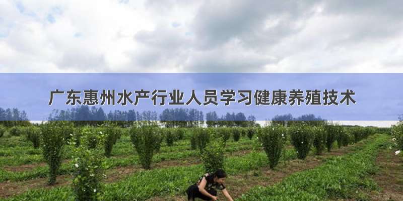 广东惠州水产行业人员学习健康养殖技术