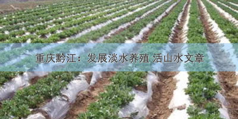 重庆黔江：发展淡水养殖 活山水文章