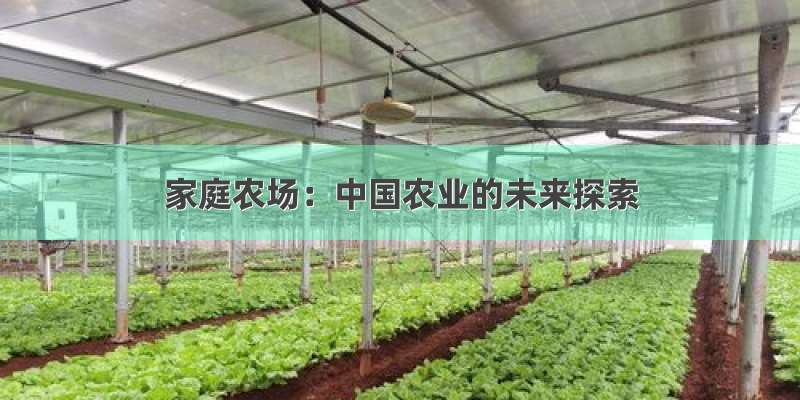家庭农场：中国农业的未来探索
