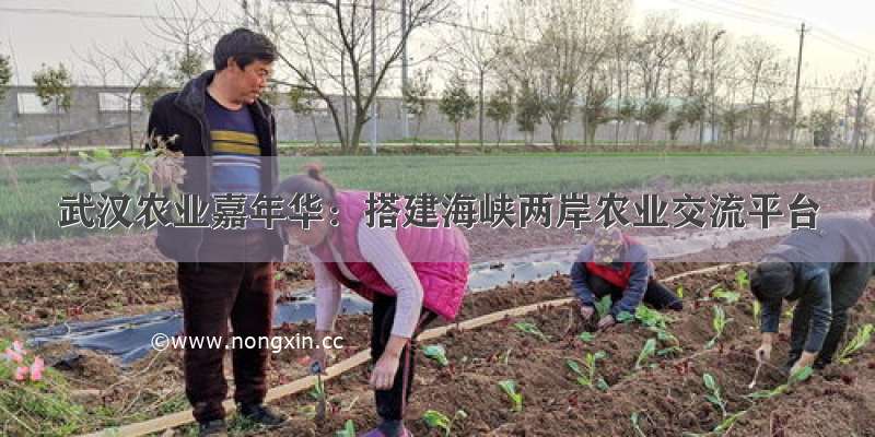 武汉农业嘉年华：搭建海峡两岸农业交流平台