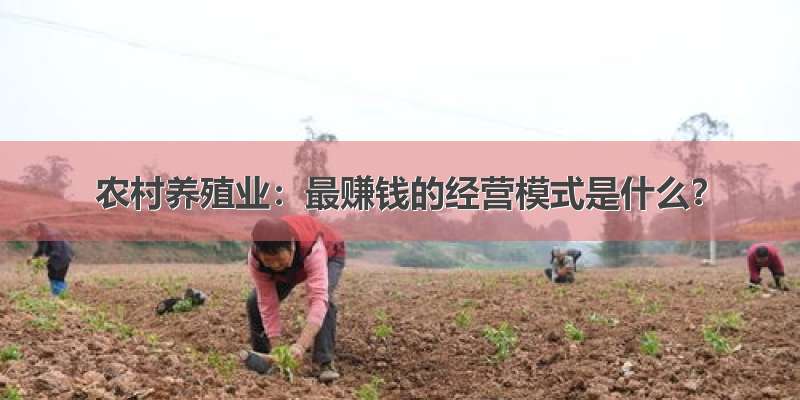 农村养殖业：最赚钱的经营模式是什么？