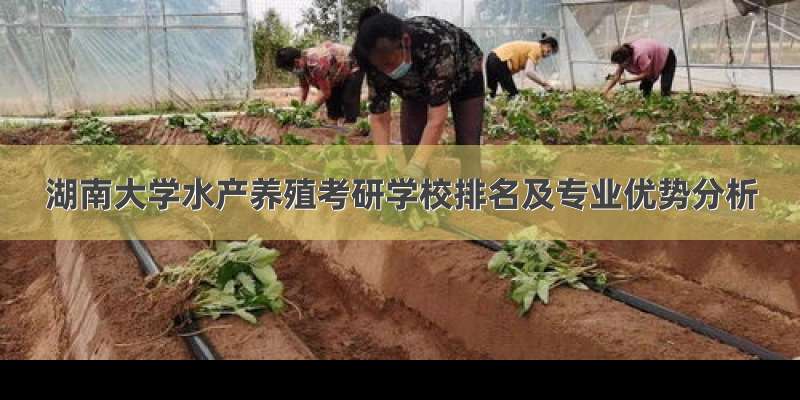 湖南大学水产养殖考研学校排名及专业优势分析