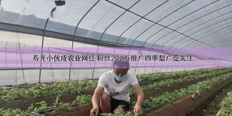 寿光小伙成农业网红 粉丝200万推广四季梨广受关注