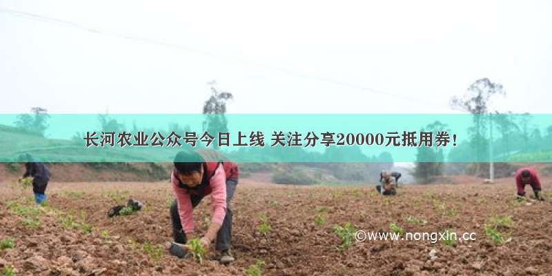 长河农业公众号今日上线 关注分享20000元抵用券！