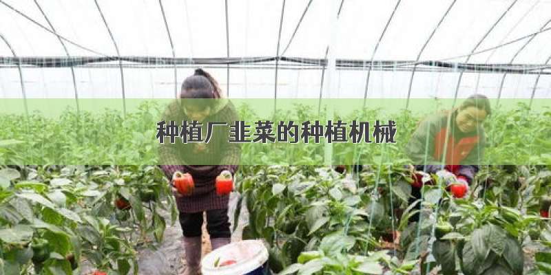 种植厂韭菜的种植机械