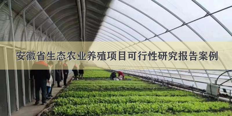 安徽省生态农业养殖项目可行性研究报告案例