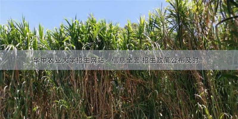 华中农业大学招生网站：信息全面 招生政策公布及时