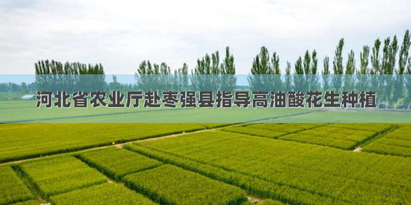 河北省农业厅赴枣强县指导高油酸花生种植