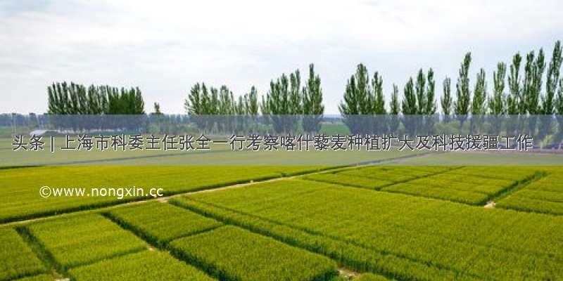 头条 | 上海市科委主任张全一行考察喀什藜麦种植扩大及科技援疆工作
