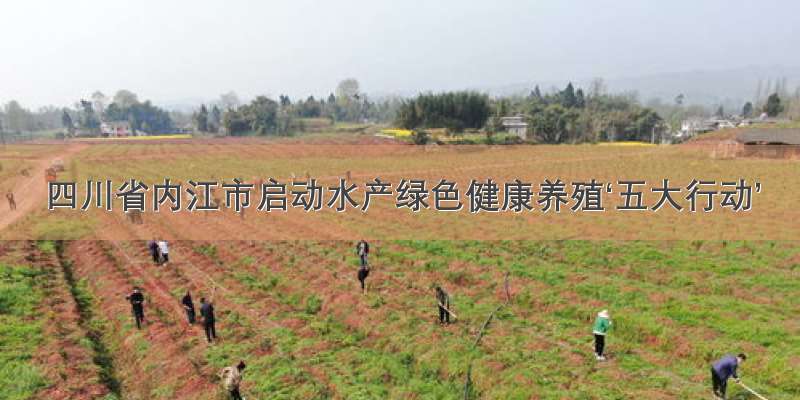 四川省内江市启动水产绿色健康养殖‘五大行动’