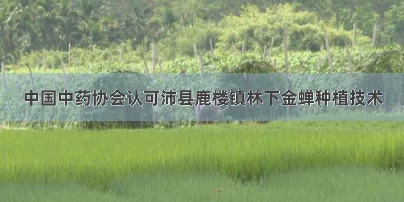 中国中药协会认可沛县鹿楼镇林下金蝉种植技术