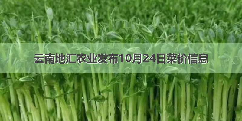云南地汇农业发布10月24日菜价信息