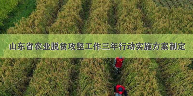 山东省农业脱贫攻坚工作三年行动实施方案制定