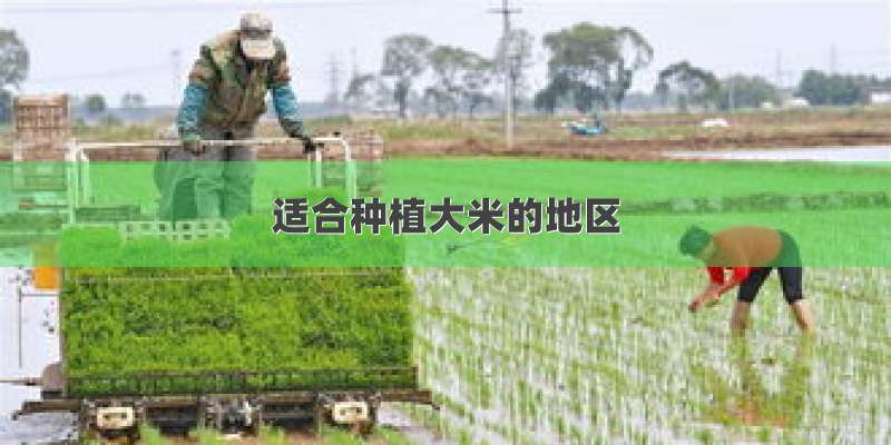 适合种植大米的地区