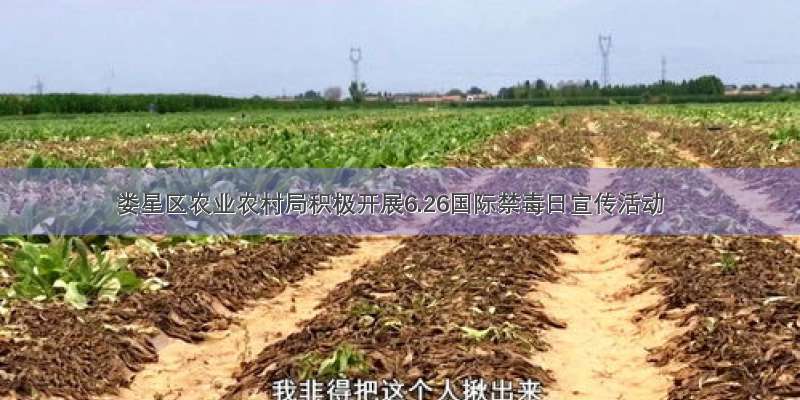 娄星区农业农村局积极开展6.26国际禁毒日宣传活动