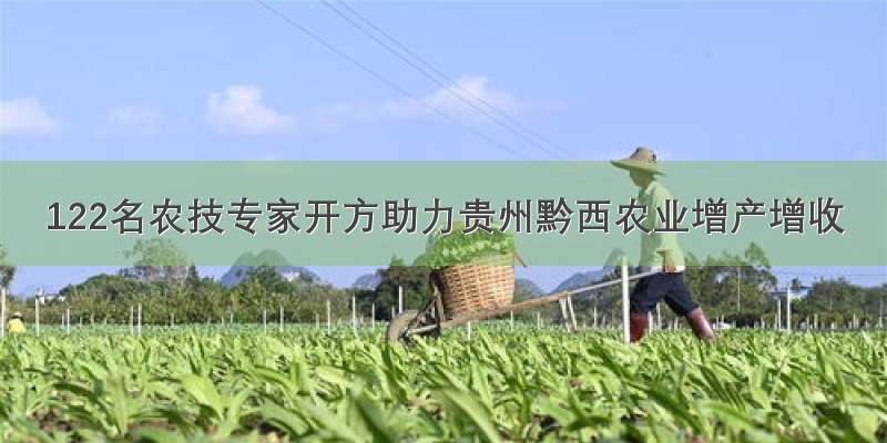 122名农技专家开方助力贵州黔西农业增产增收