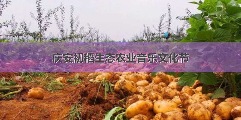庆安初稻生态农业音乐文化节