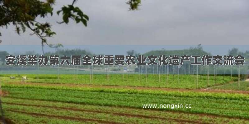 安溪举办第六届全球重要农业文化遗产工作交流会