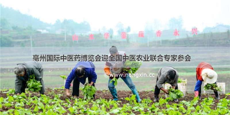 亳州国际中医药博览会迎全国中医农业联合专家参会