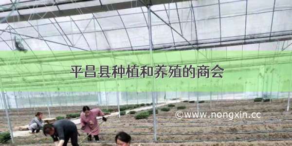 平昌县种植和养殖的商会