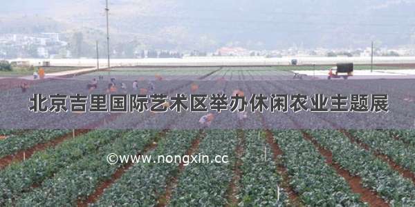 北京吉里国际艺术区举办休闲农业主题展