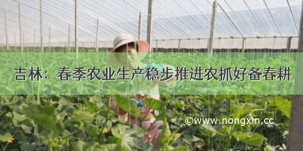吉林：春季农业生产稳步推进农抓好备春耕