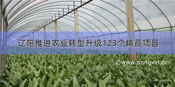 辽阳推进农业转型升级123个精品项目