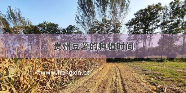 贵州豆薯的种植时间
